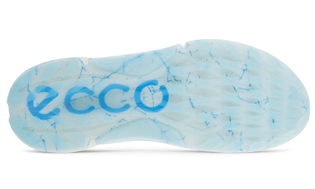 ECCO Golf Biom H4
